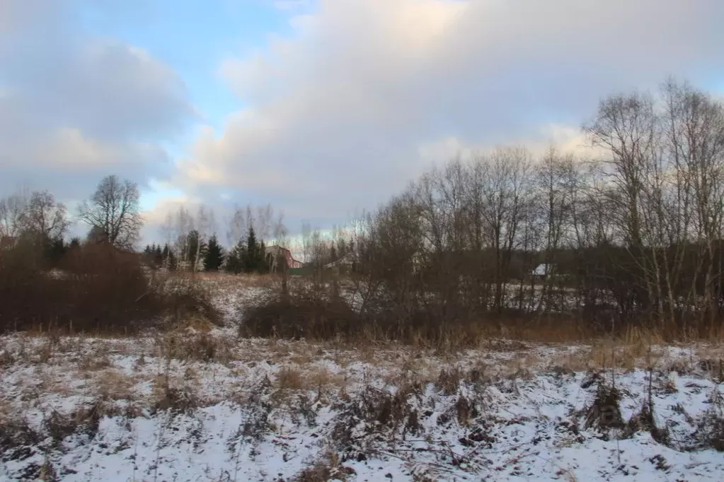 Участок в Московская область, Шаховская муниципальный округ, д. ... - Фото 1