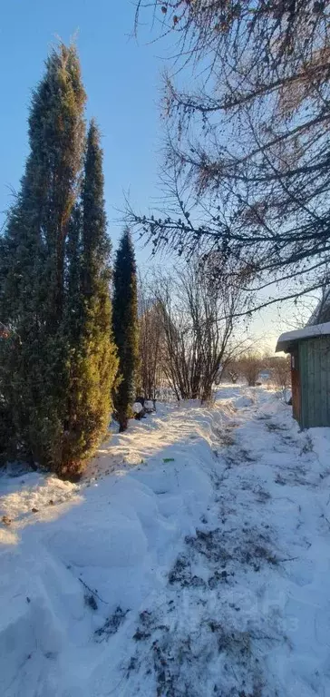 Дом в Челябинская область, Копейск Шахтер СНТ, 3Н (15 м) - Фото 1