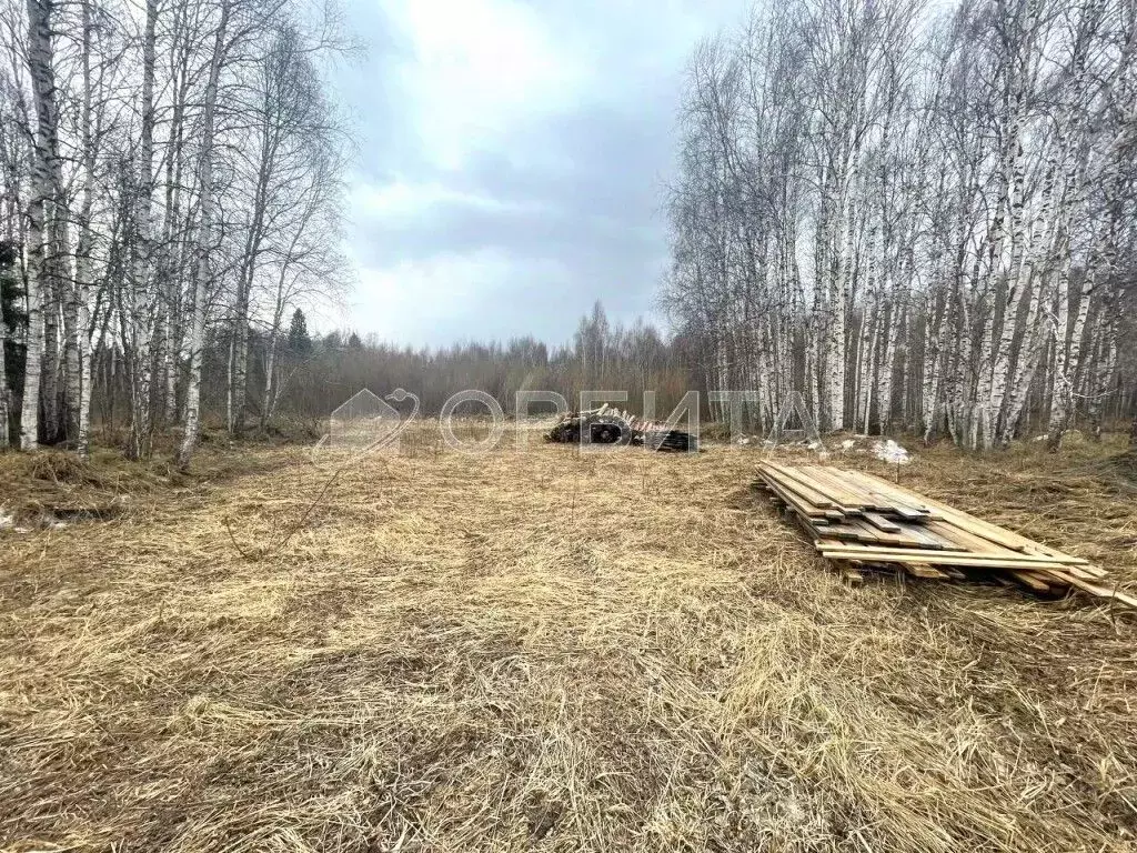 Участок в Тюменская область, Нижнетавдинский район, Аракчино СНТ ул. ... - Фото 1