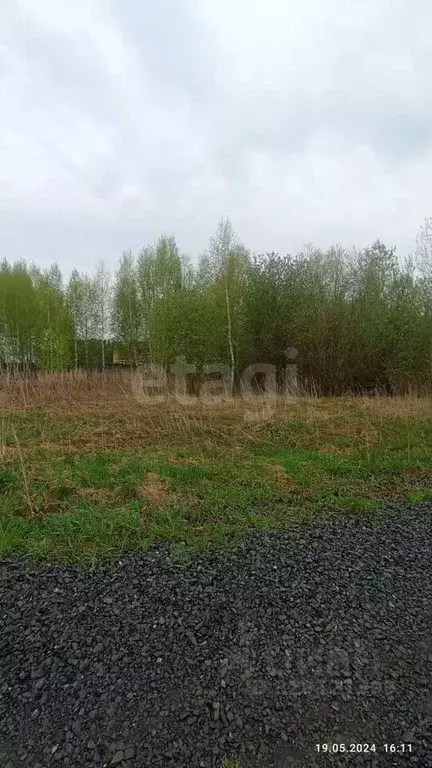 Участок в Томская область, Томск пос. Родионово, ул. Светлая (15.54 ... - Фото 2