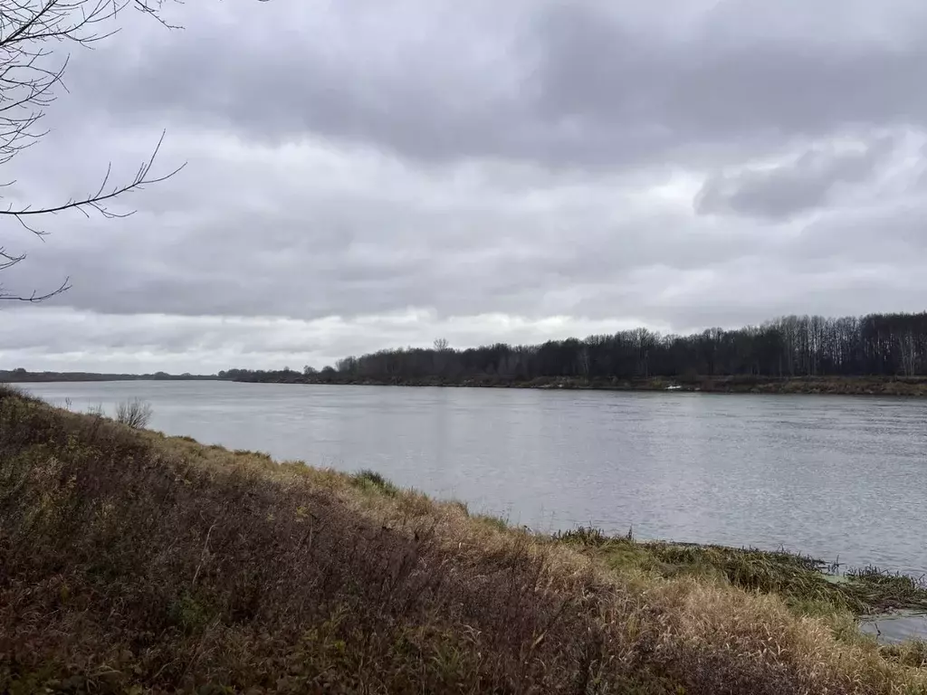 Участок в Рязанская область, Шиловский район, Ерахтурское с/пос  ... - Фото 1
