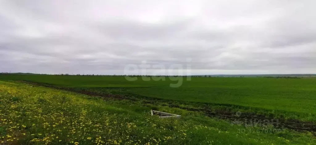 Участок в Крым, Ленинский район, Семисотское с/пос, с. Каменское ул. ... - Фото 1