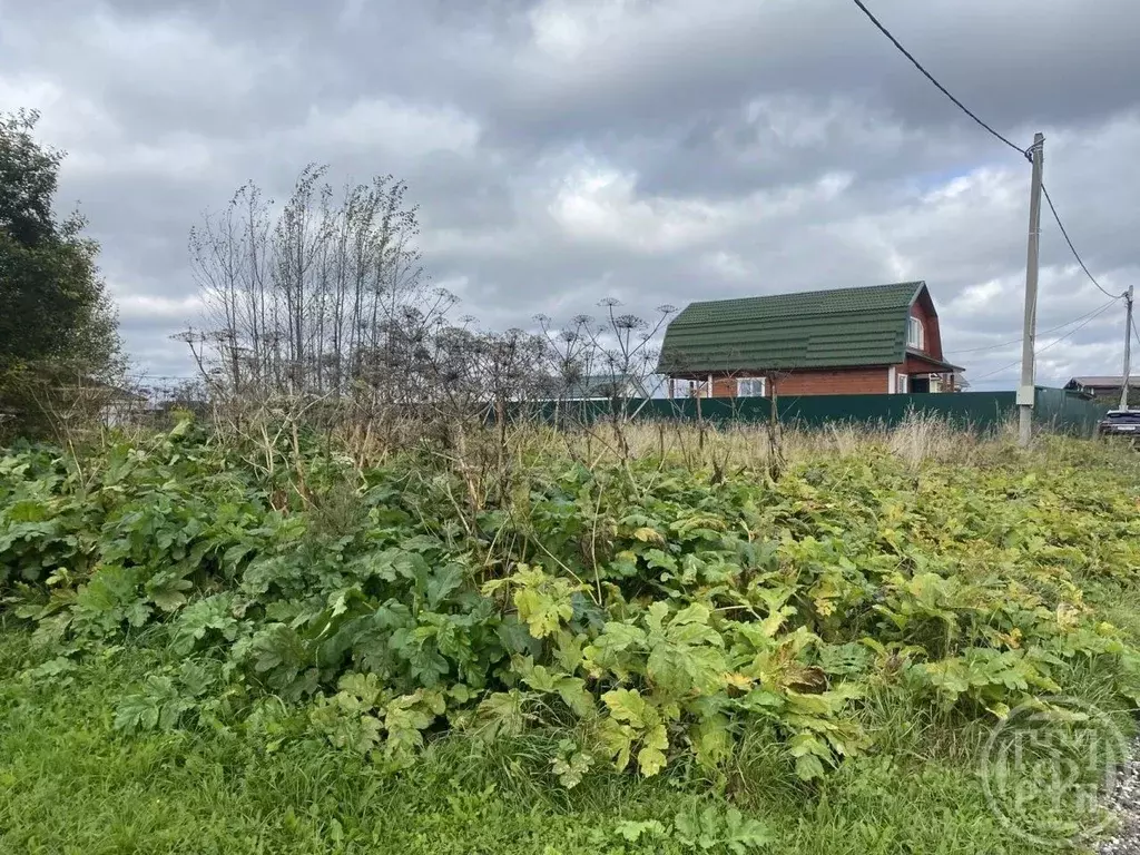 Участок в Ленинградская область, Лужский район, Заклинское с/пос, д. ... - Фото 2