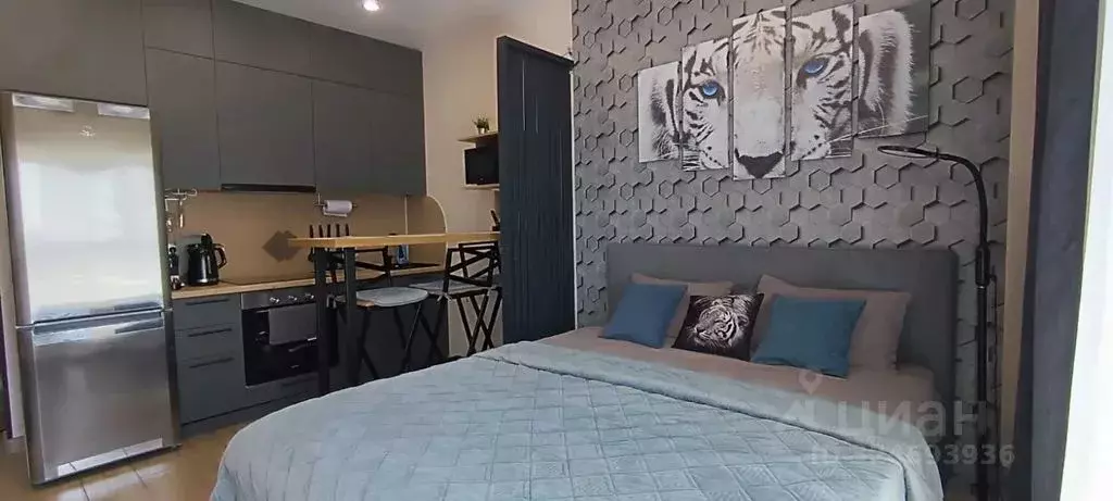 Студия Ленинградская область, Ломоносовский район, Аннинское городское ... - Фото 1