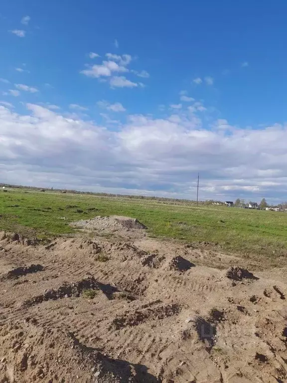 Участок в Ленинградская область, Ломоносовский район, Низинское с/пос, ... - Фото 2