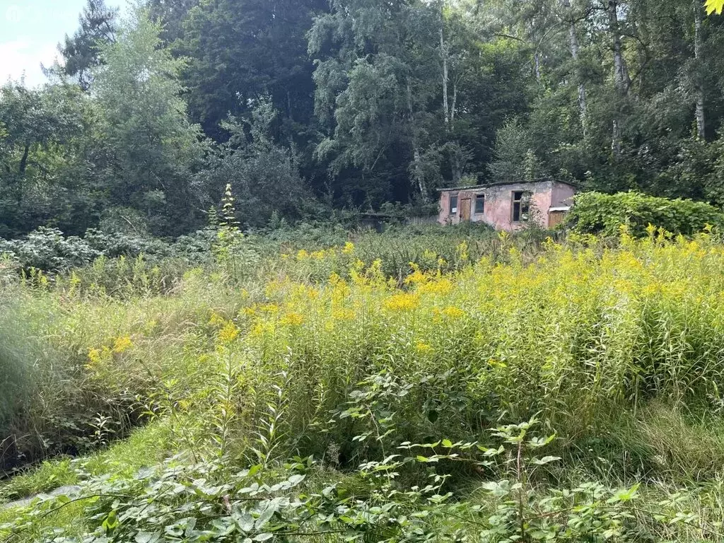 Участок в Светлогорск, Балтийская улица, 24А (9.17 м) - Фото 1