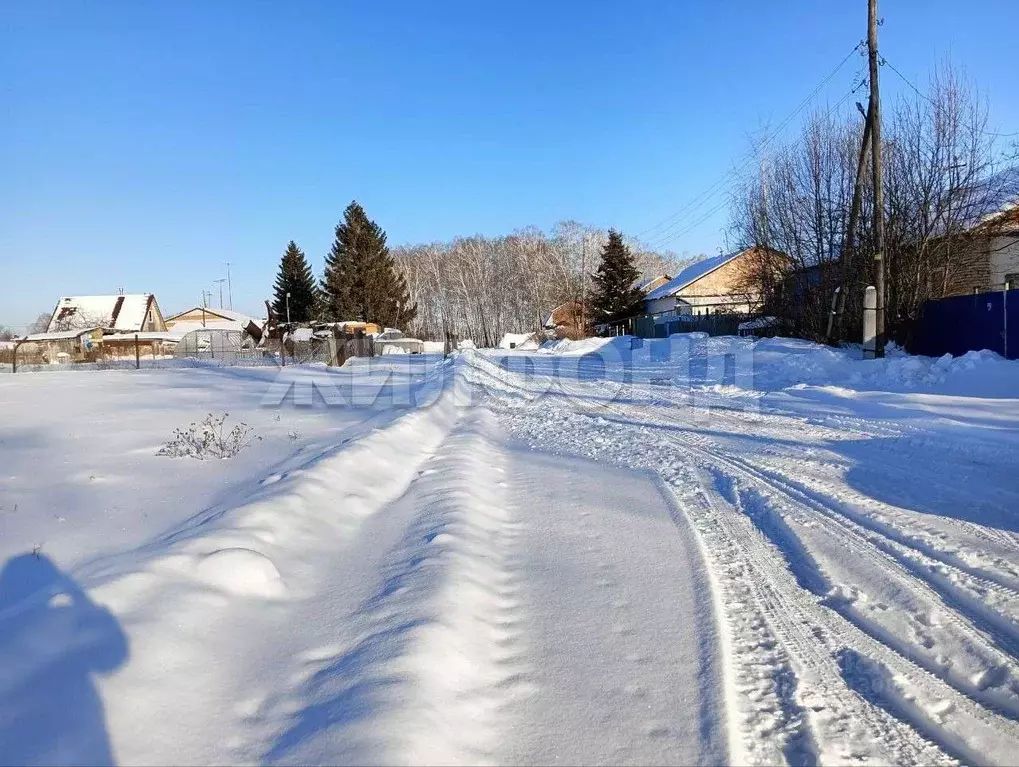 Участок в Новосибирская область, Новосибирский район, Боровской ... - Фото 2