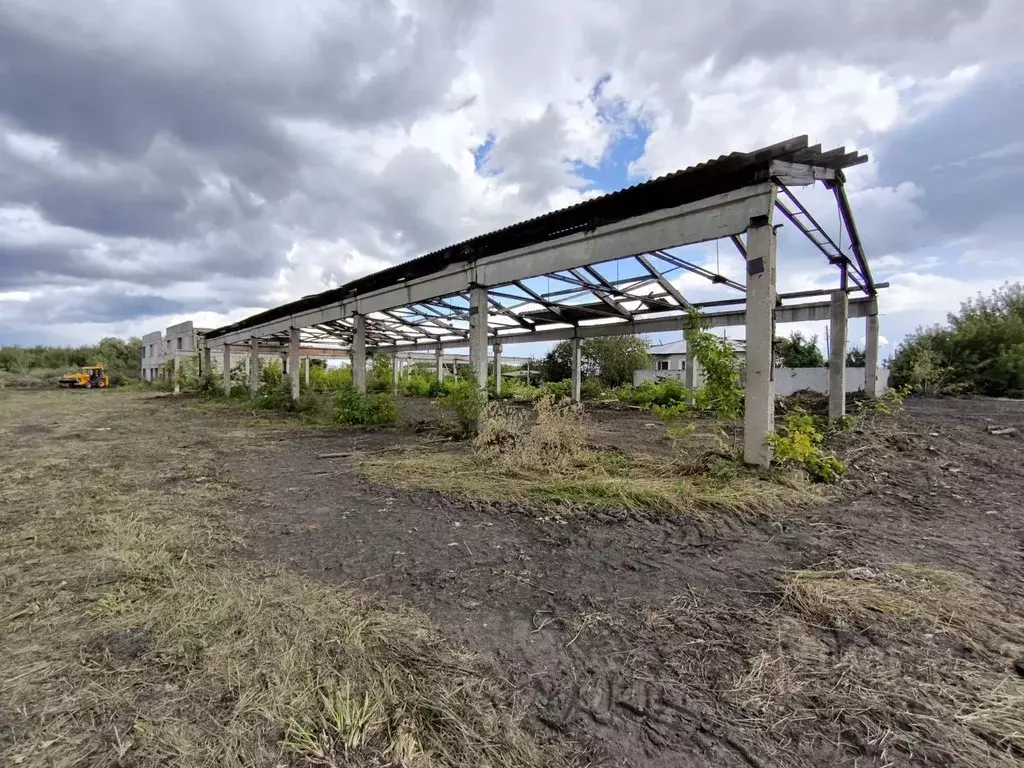 Помещение свободного назначения в Алтайский край, Барнаул городской ... - Фото 1