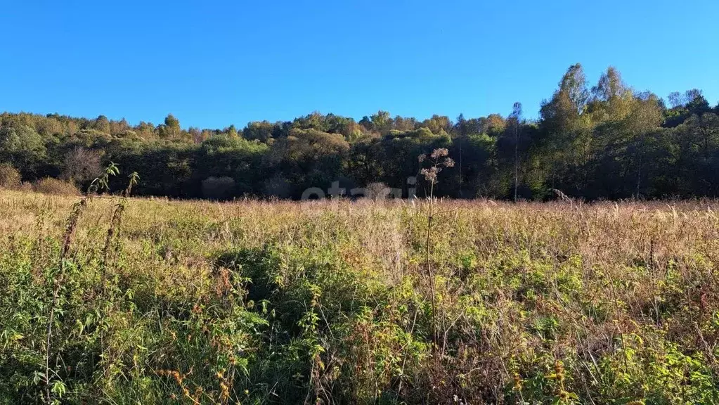 Участок в Смоленская область, Смоленский муниципальный округ, ... - Фото 2