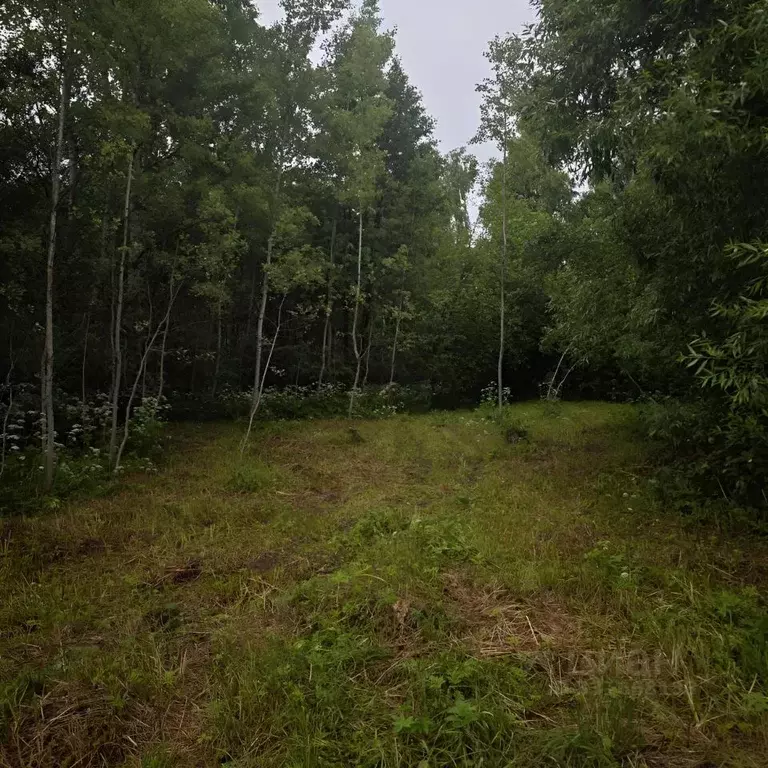Участок в Московская область, Богородский городской округ, имени ... - Фото 2