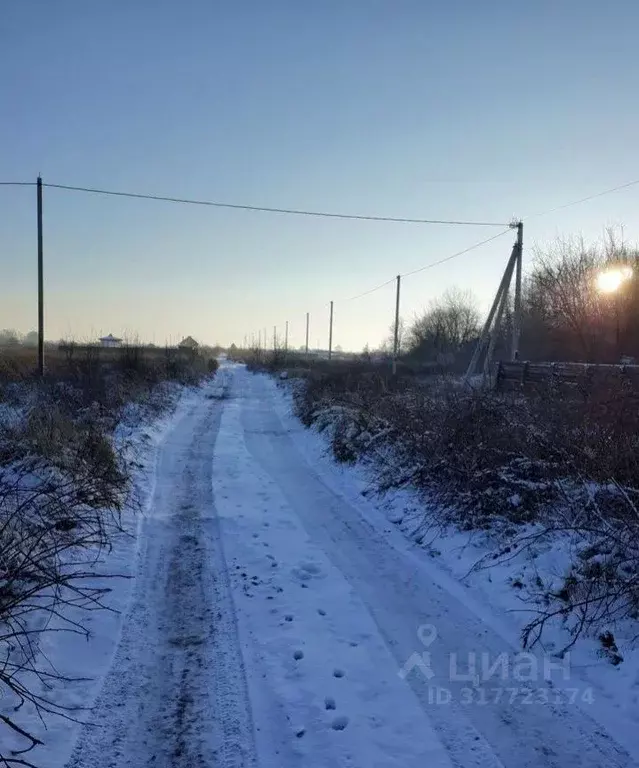 Участок в Калининградская область, Гурьевский муниципальный округ, ... - Фото 0