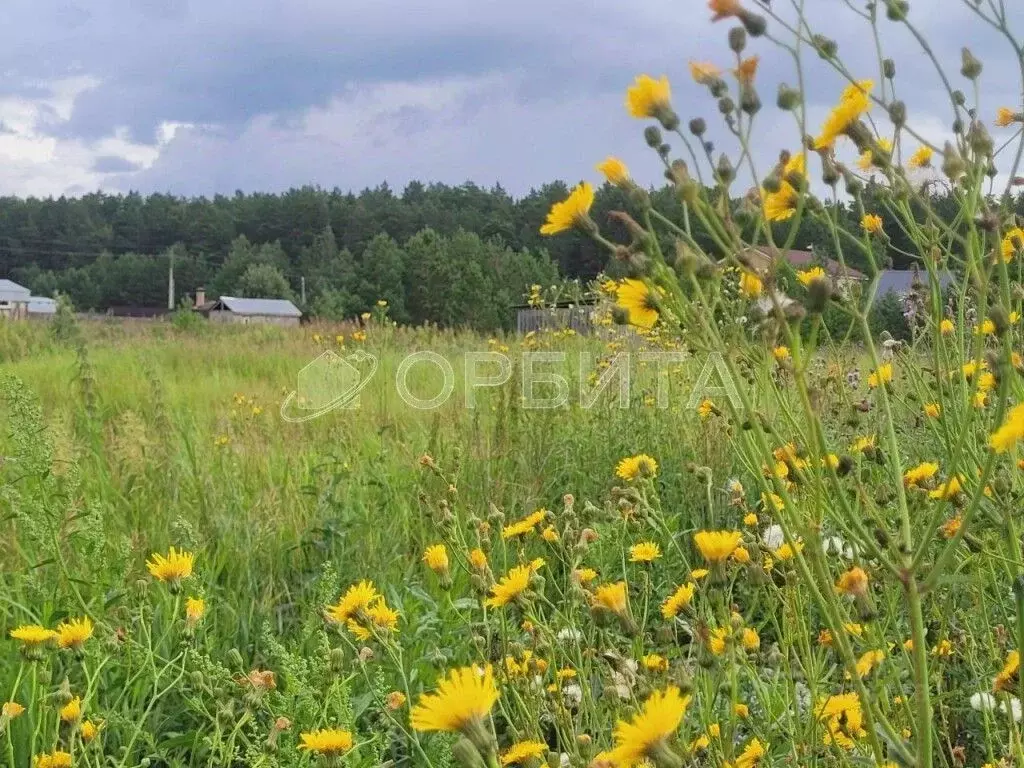 Участок в Свердловская область, Тугулымский муниципальный округ, с. ... - Фото 2