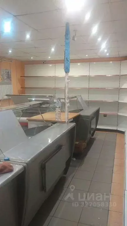 Торговая площадь в Московская область, Дмитровский муниципальный ... - Фото 2