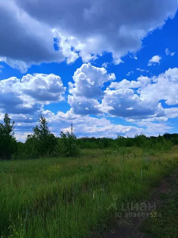 Участок в Самарская область, Сызрань городской округ, пос. Фомкины ... - Фото 0