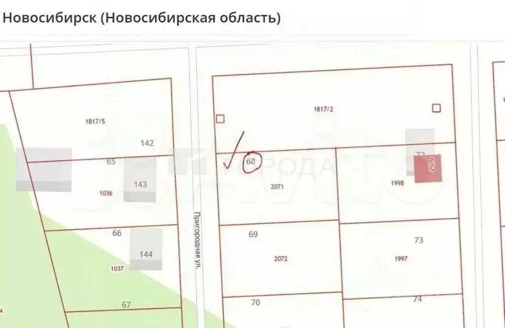 Участок в Новосибирская область, Новосибирский район, Раздольненский ... - Фото 2