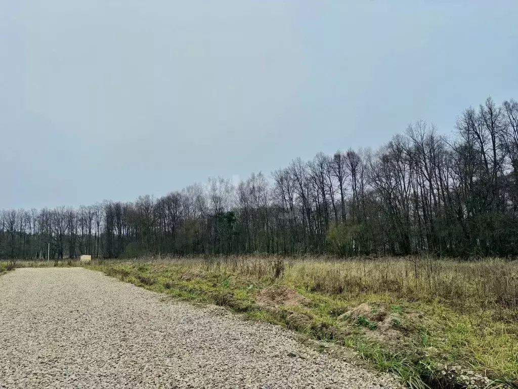 Участок в Московская область, Серпухов городской округ, д. ... - Фото 1