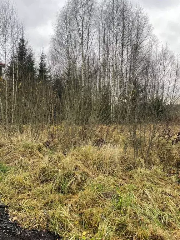 Участок в Москва № 182 кв-л, 28 (9.0 сот.) - Фото 2