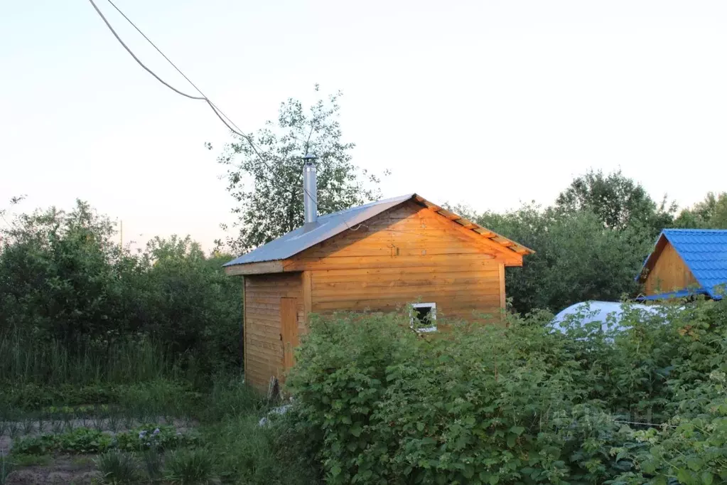 Дом в Нижегородская область, Нижний Новгород с. Чернуха,  (35 м) - Фото 1