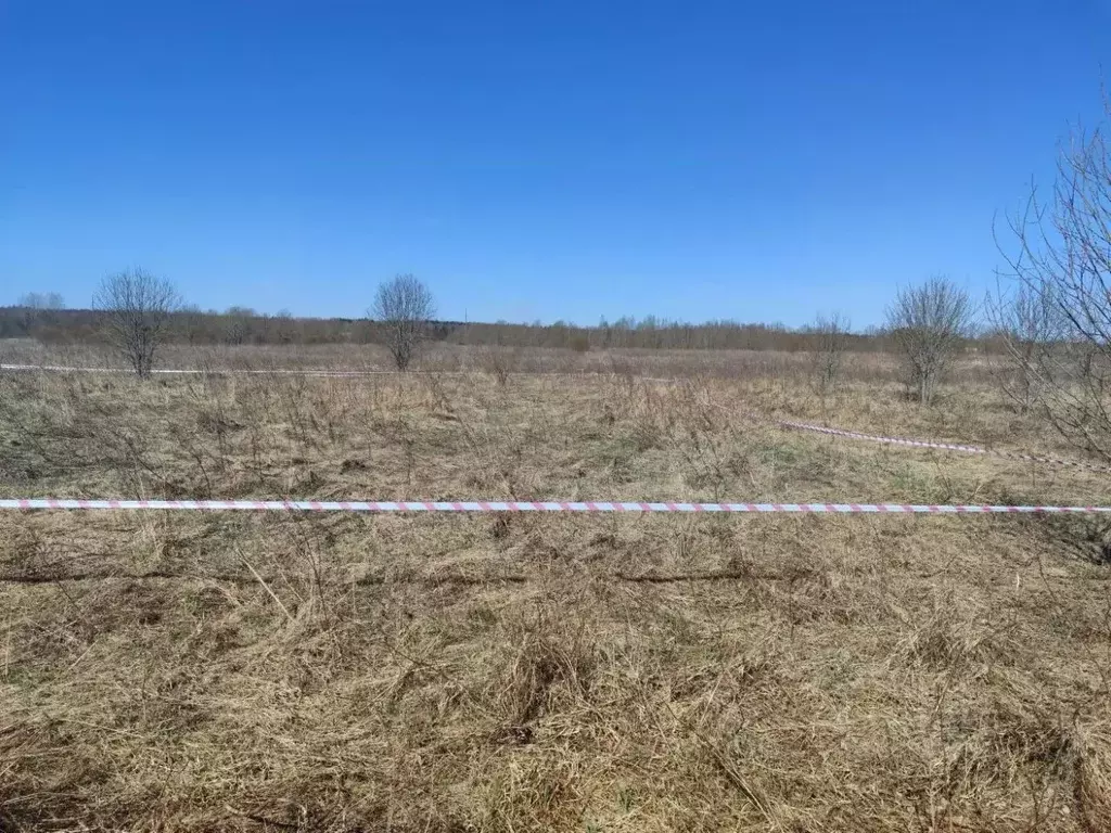 Участок в Ленинградская область, Гатчинский муниципальный округ, д. ... - Фото 2