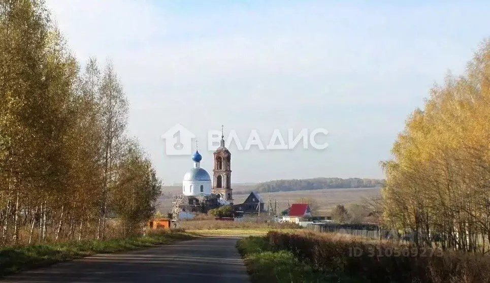 Участок в Владимирская область, Суздальский район, Павловское ... - Фото 0