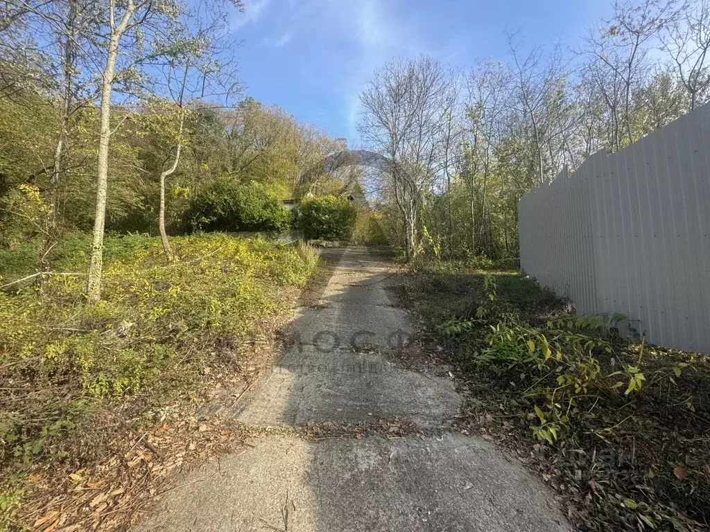 Участок в Краснодарский край, Туапсинский муниципальный округ, с. Агой ... - Фото 2