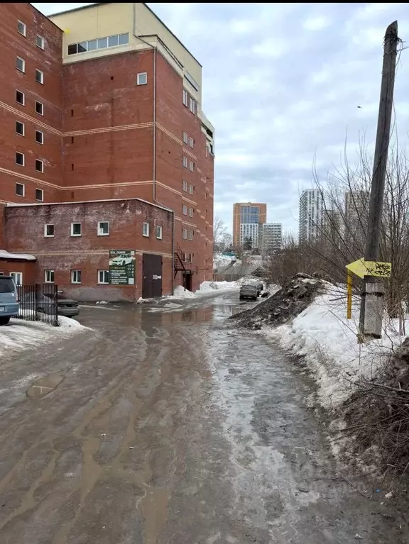Помещение свободного назначения в Новосибирская область, Новосибирск ... - Фото 1