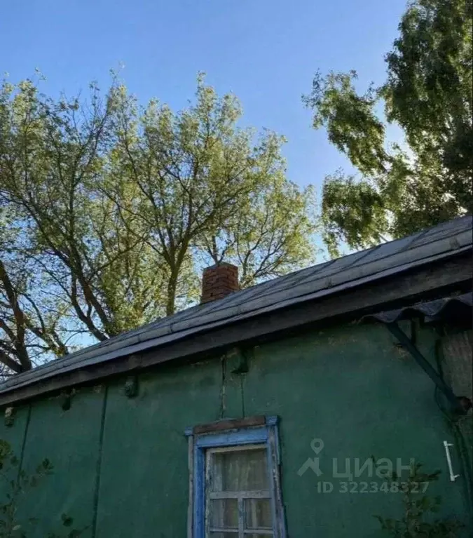 Дом в Воронежская область, Хохольский район, Яблоченское с/пос, ... - Фото 2