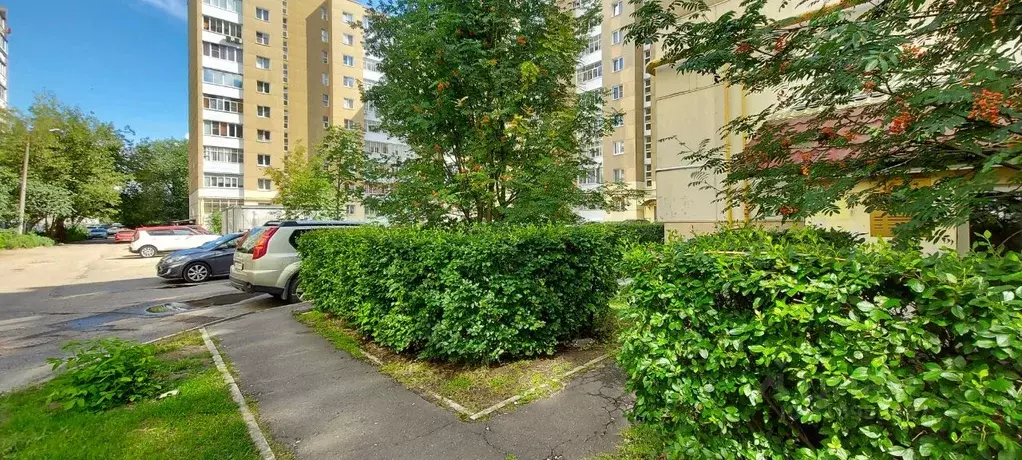 Офис в Тверская область, Тверь ул. Виноградова, 8 (43 м) - Фото 0