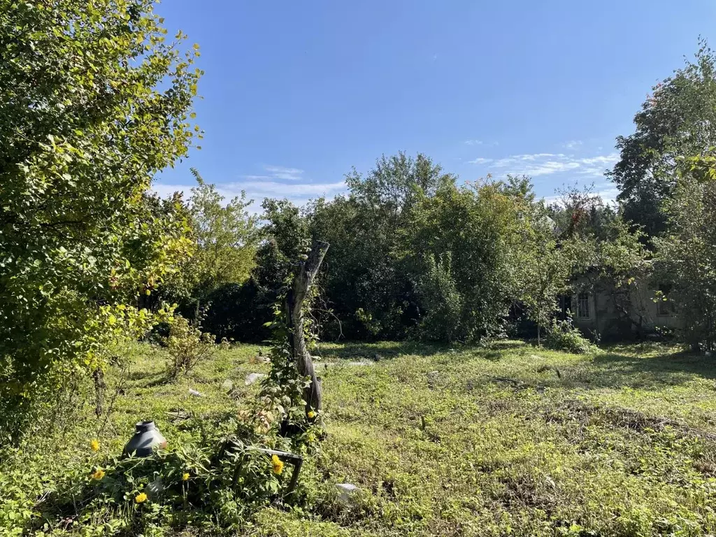 Участок в Московская область, Одинцовский городской округ, Вязы СНТ  ... - Фото 0