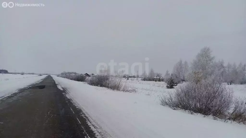 Участок в Курганская область, Шадринский муниципальный округ, село ... - Фото 1