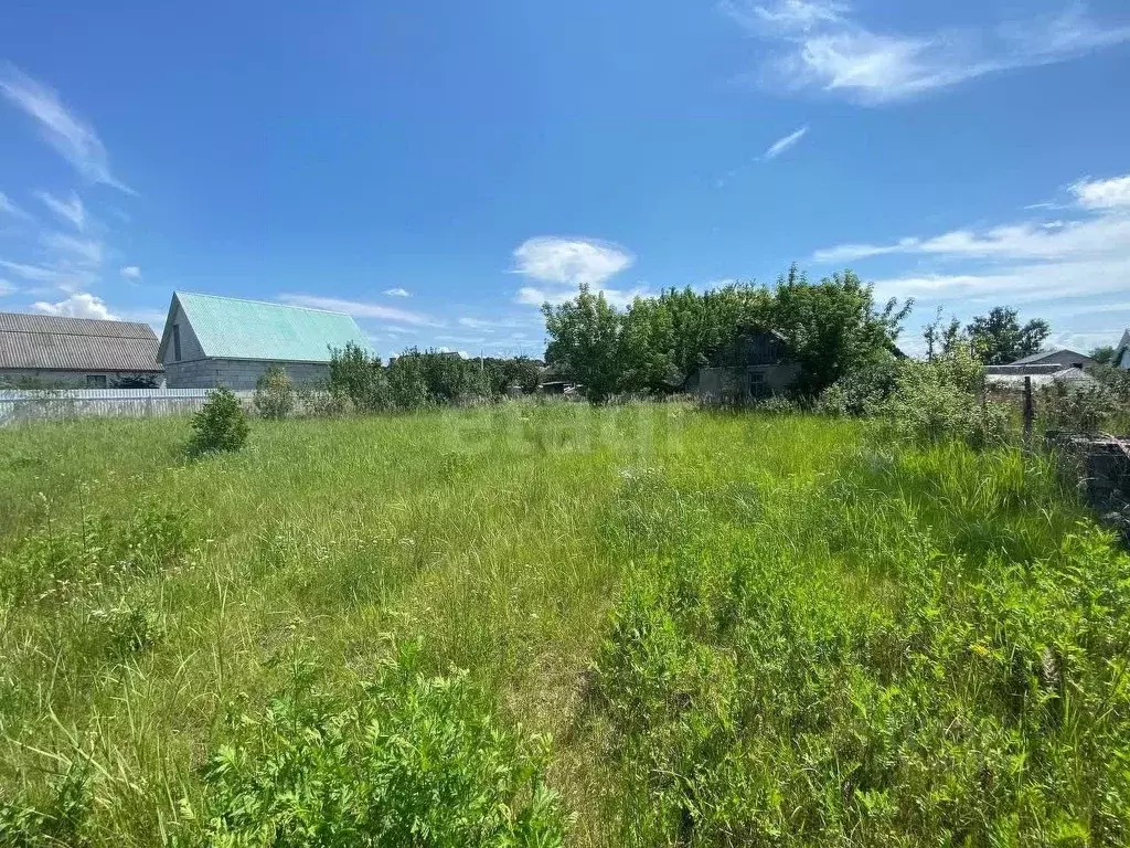 Участок в Брянская область, Брянский район, Нетьинское с/пос, пос. ... - Фото 1