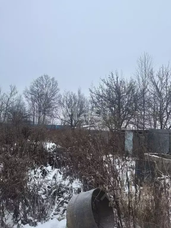 Участок в Сахалинская область, Южно-Сахалинск Авиатор СНТ,  (9.32 ... - Фото 1