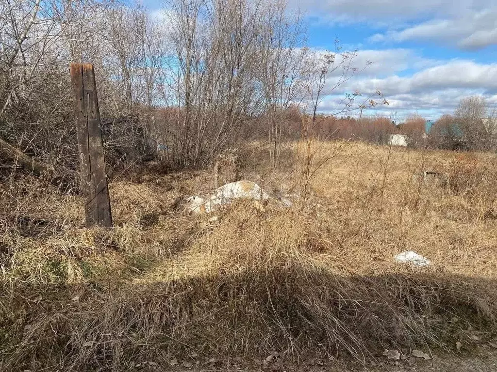 Участок в Иркутская область, Усольский район, Большееланское ... - Фото 1