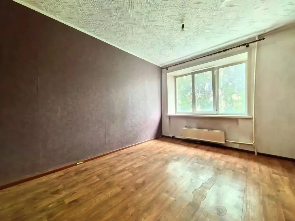 Студия Кемеровская область, Ленинск-Кузнецкий ул. Пушкина, 88 (16.9 м) - Фото 2