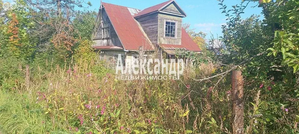 Участок в Мгинское городское поселение, садоводческий массив ... - Фото 1