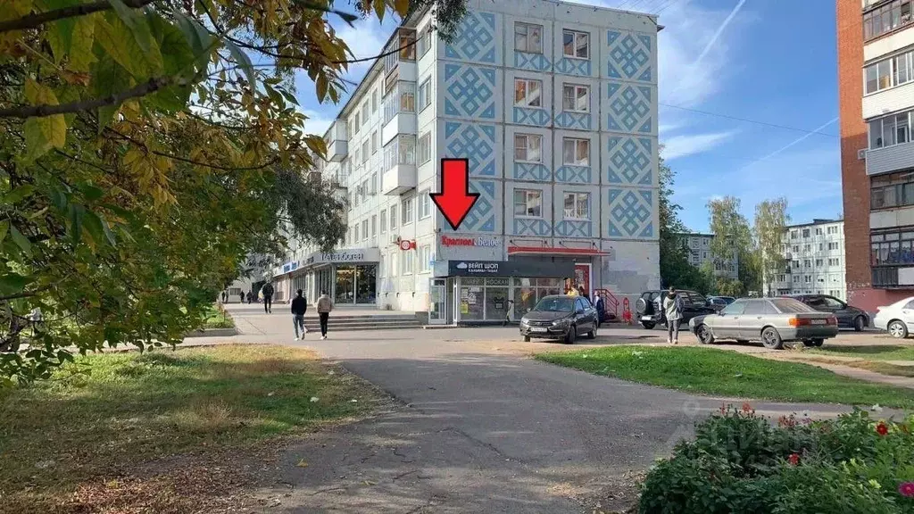 Помещение свободного назначения в Новгородская область, Великий ... - Фото 0