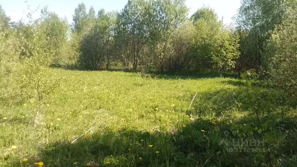 Участок в Московская область, Шаховская муниципальный округ, д. Новое  ... - Фото 0