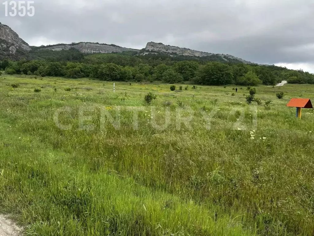 Участок в Севастополь Балаклавский р-н, Терновский муниципальный ... - Фото 2