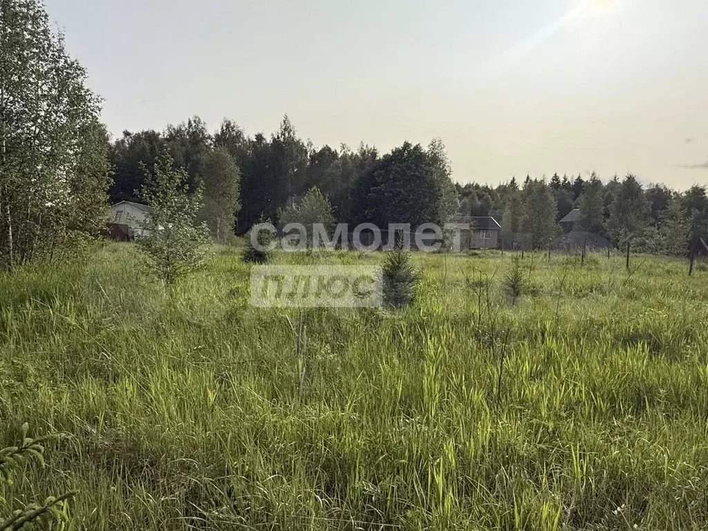 Участок 10 сот. (СНТ, ДНП) - Фото 1