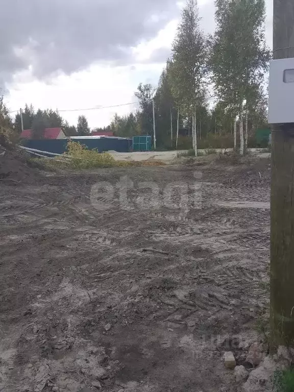 Участок в Ханты-Мансийский АО, Сургут Север-1 СТ, Девятая линия (6.0 ... - Фото 0