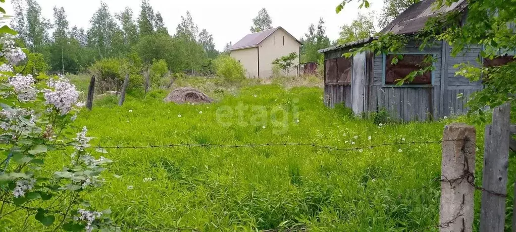 Дом в Хабаровский край, Хабаровский район, с. Скворцово, Скворцово СНТ ... - Фото 1