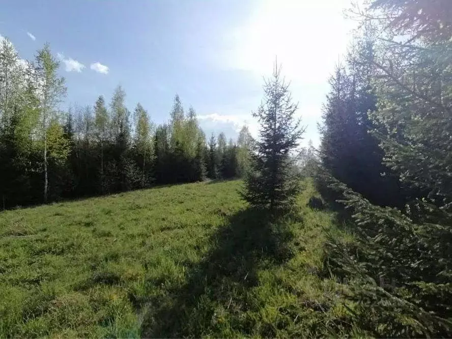 Участок в Московская область, Шаховская муниципальный округ, д. ... - Фото 2