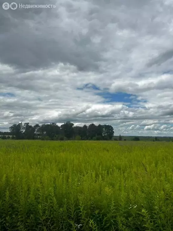 Участок в село Отрадное, Пятницкая улица (10 м) - Фото 0