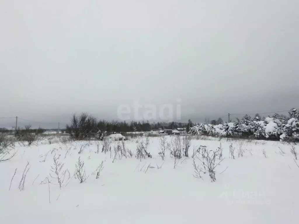 Участок в Тверская область, Калининский муниципальный округ, д. Старое ... - Фото 2