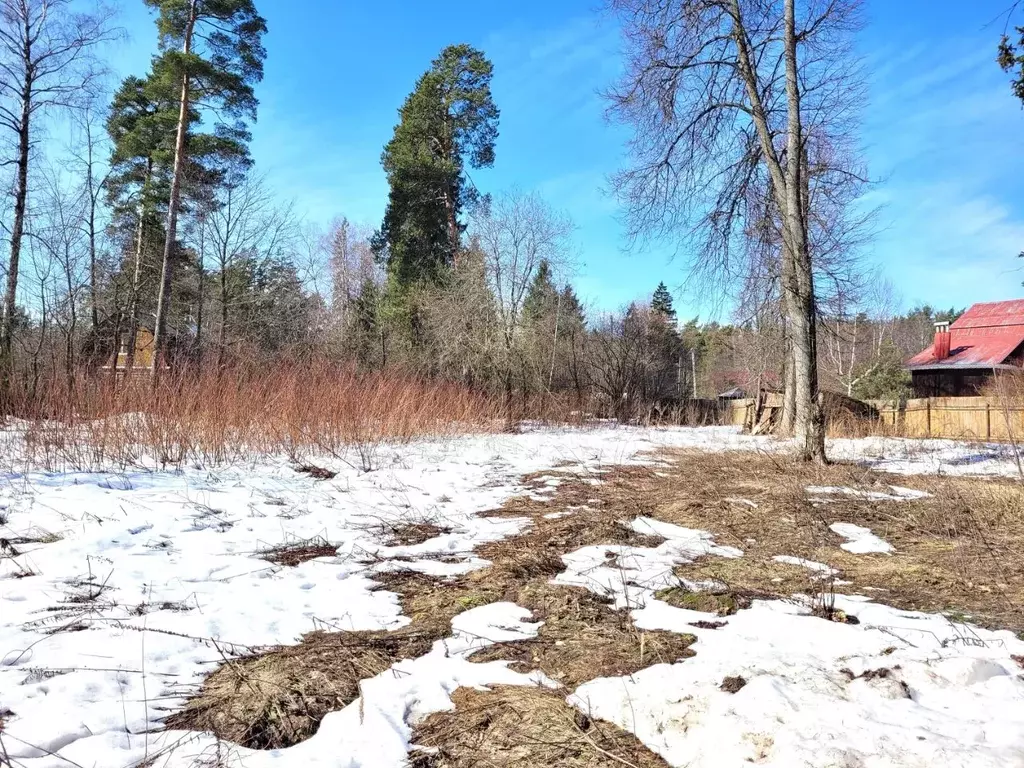 Участок в Московская область, Королев Первомайский мкр, ... - Фото 1