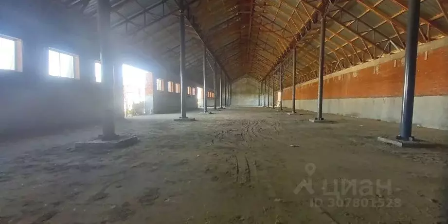 Помещение свободного назначения в Краснодарский край, Динской район, ... - Фото 1