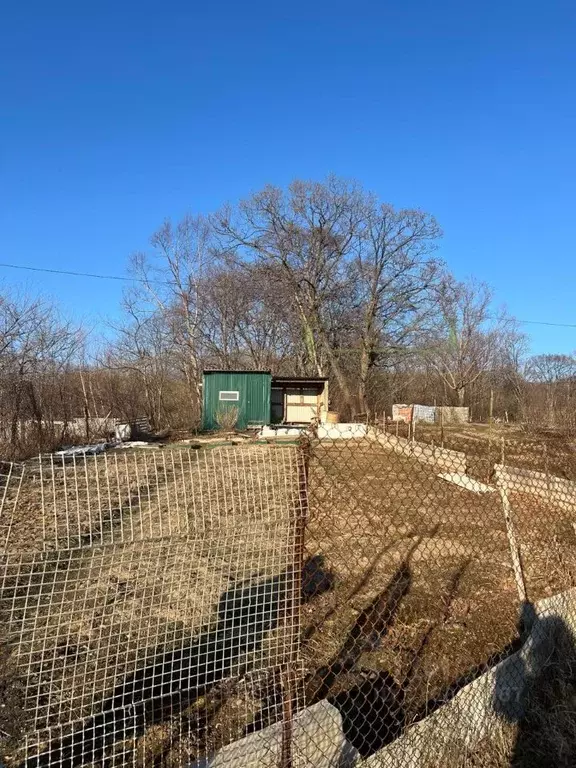 Участок в Приморский край, Артемовский городской округ, с. Суражевка ... - Фото 0
