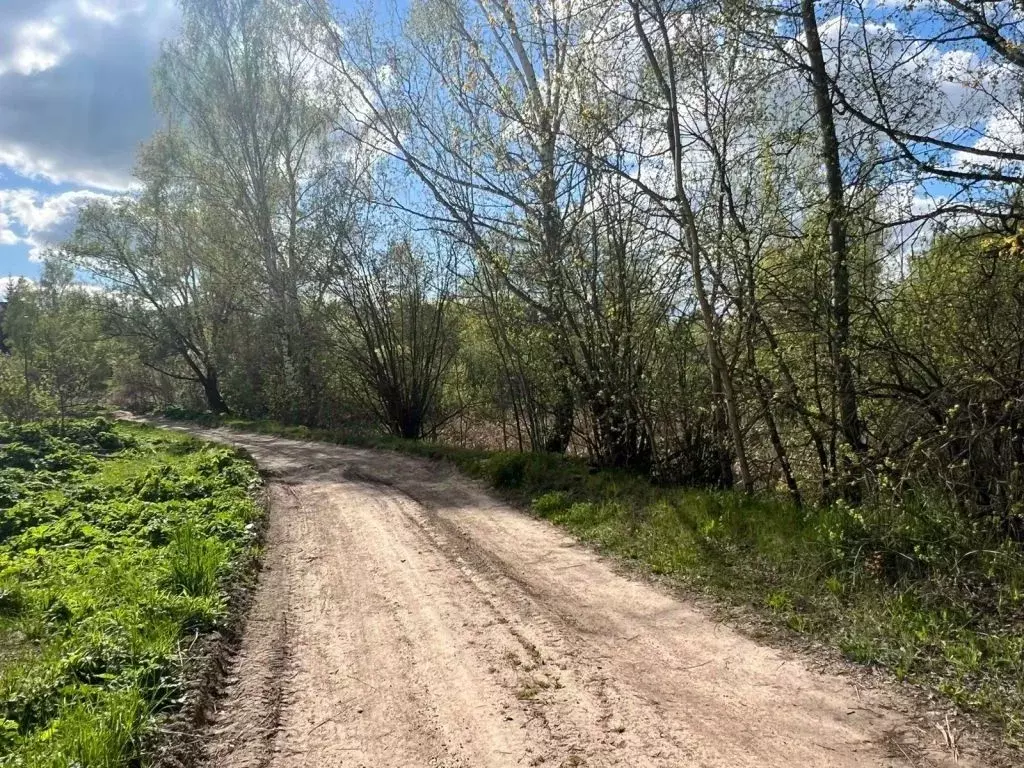 Участок в Тульская область, Тула городской округ, с. Архангельское ул. ... - Фото 0