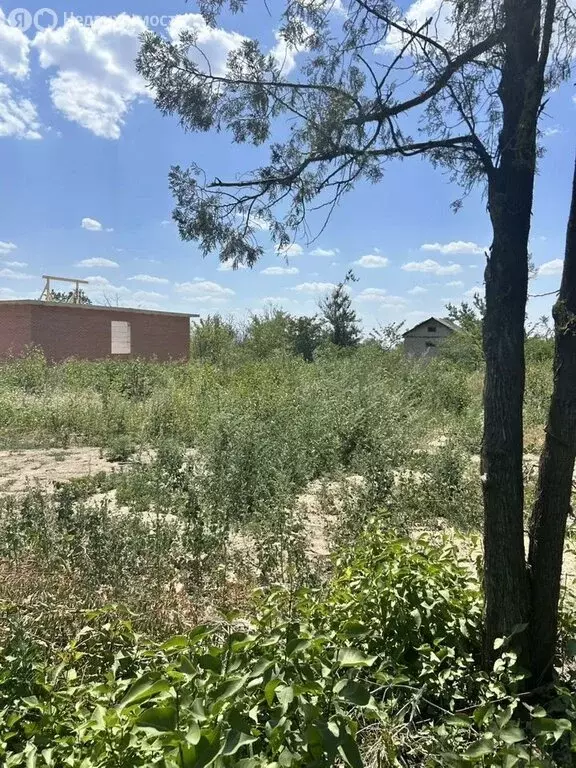 Дом в Новочеркасск, садовое товарищество № 16, Заводская улица, 16 (85 ... - Фото 0