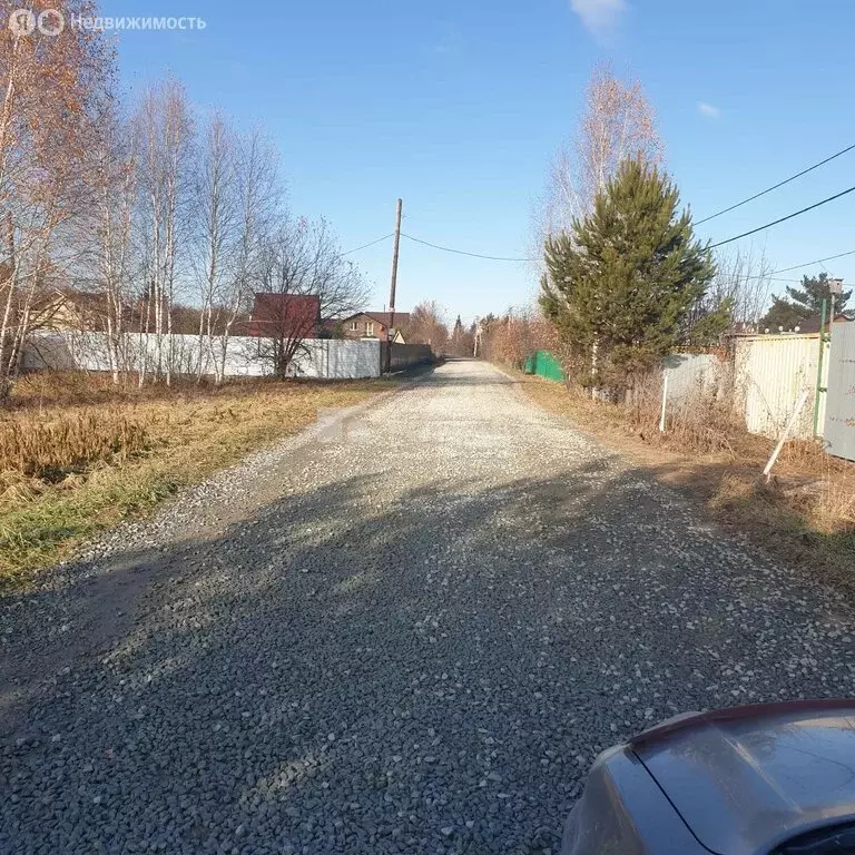 Участок в Колыванский район, СТ Надежда (10 м) - Фото 2